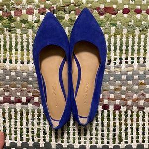 Cobalt blue suede pointed flats. Banana Republic